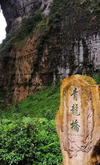 dae511874eae067d697805051b91b3cc-sz_110539-2