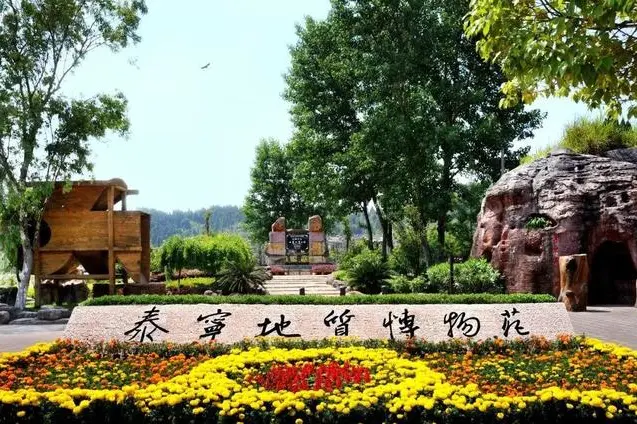 daf9bd7d3dd801c358fe259defed9e07-sz_87584