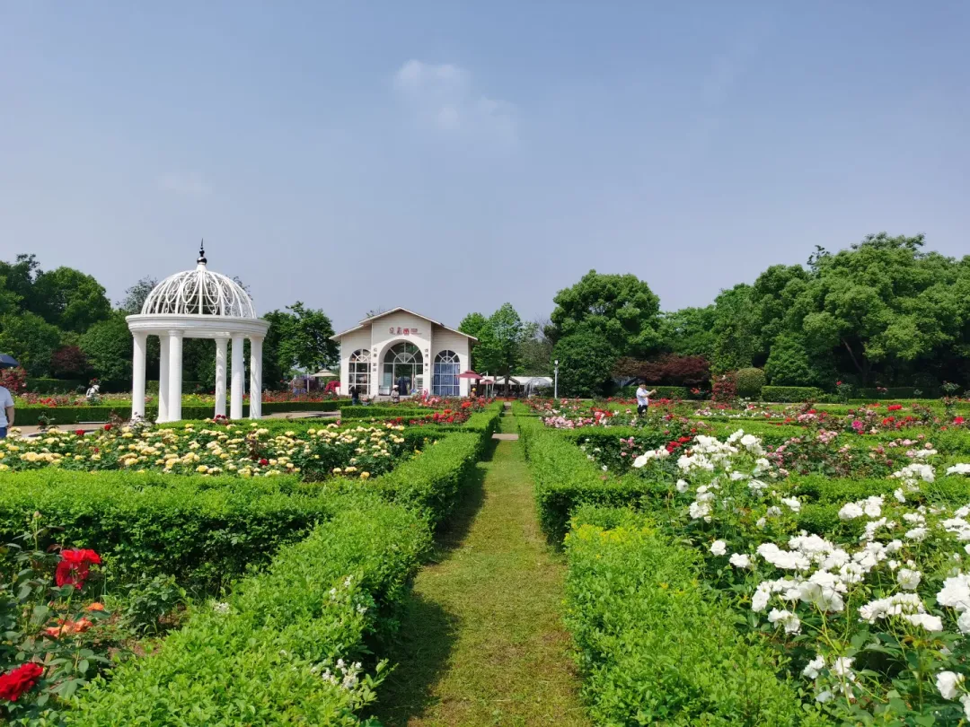 dafd75ba8deccd3ef3c9c0d11b4991a4-sz_2416137 dafd75ba8deccd3ef3c9c0d11b4991a4-sz_2416137