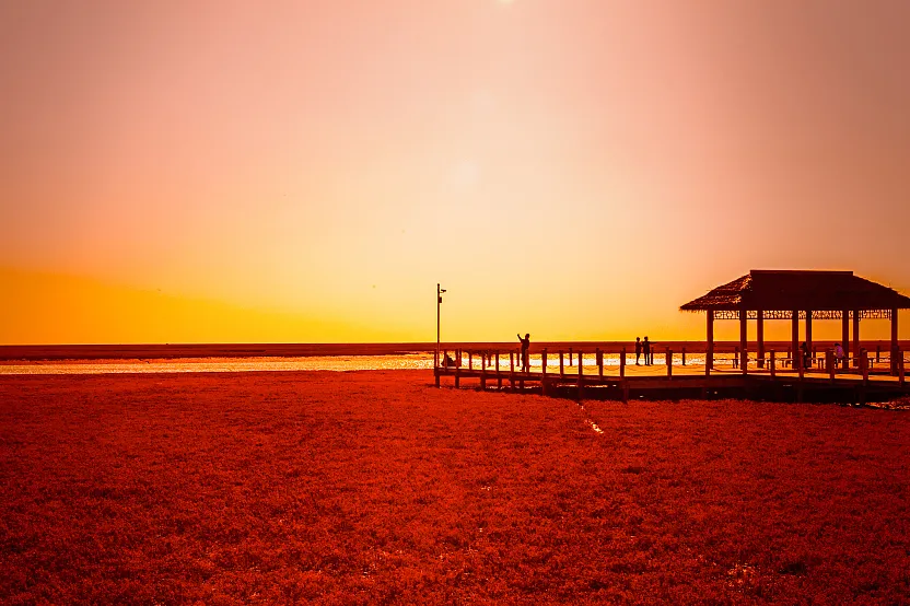 db09b9a80c0485414b73e4d163a82647-sz_669614-1