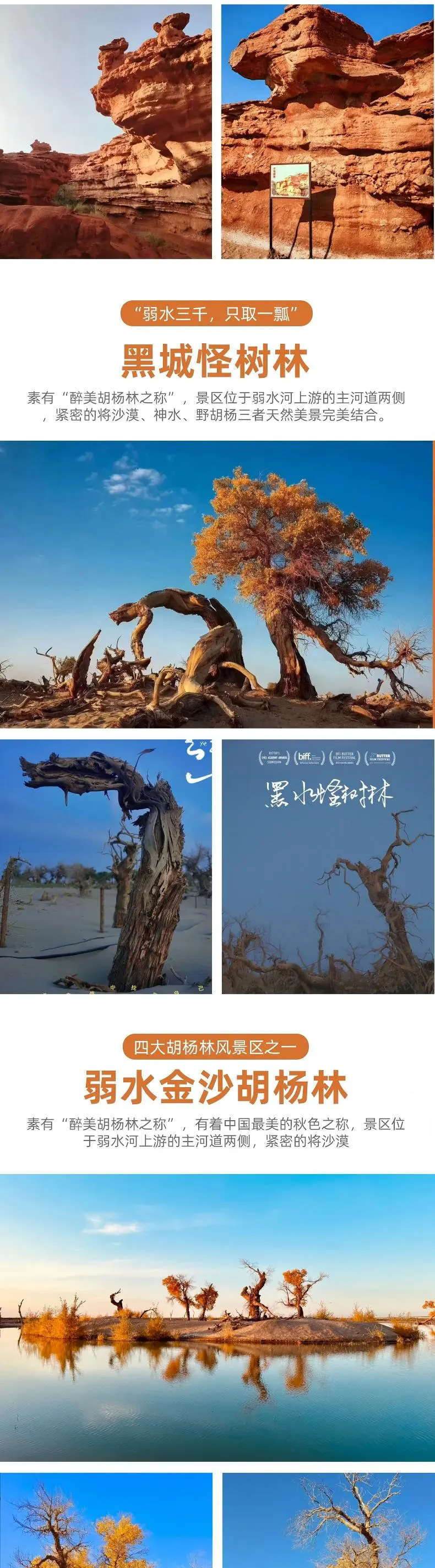 db65b0c2516a1b0e28aa395f80ffae46-sz_354455 db65b0c2516a1b0e28aa395f80ffae46-sz_354455