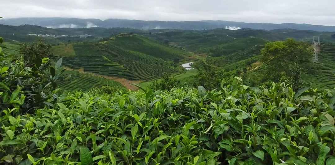 dba2841e5f9f6cb2061c22a9628248b2-sz_248593-1 dba2841e5f9f6cb2061c22a9628248b2-sz_248593-1