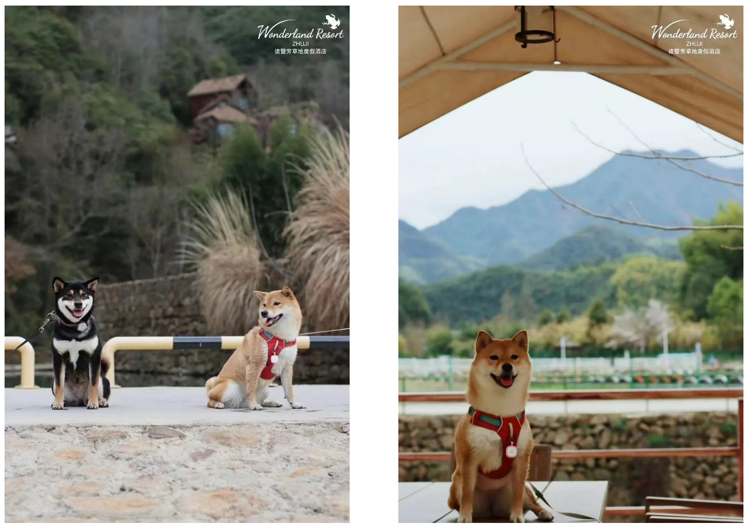 dbab00b1fb6725dfaf91765b33373a06