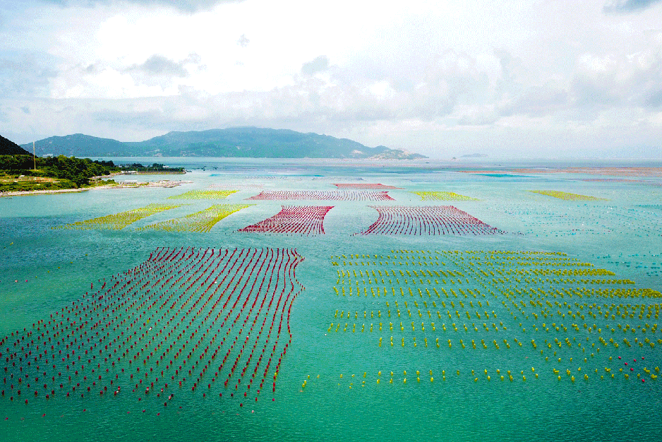 dbc8c0d0a3ca792638866a814133572d-sz_1557648 dbc8c0d0a3ca792638866a814133572d-sz_1557648