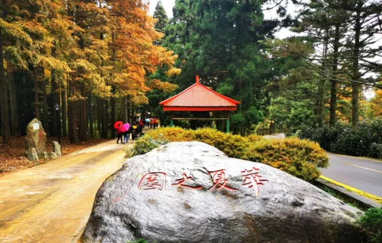 dbc8c88d7692325ad19b329250d8280e-sz_1627398