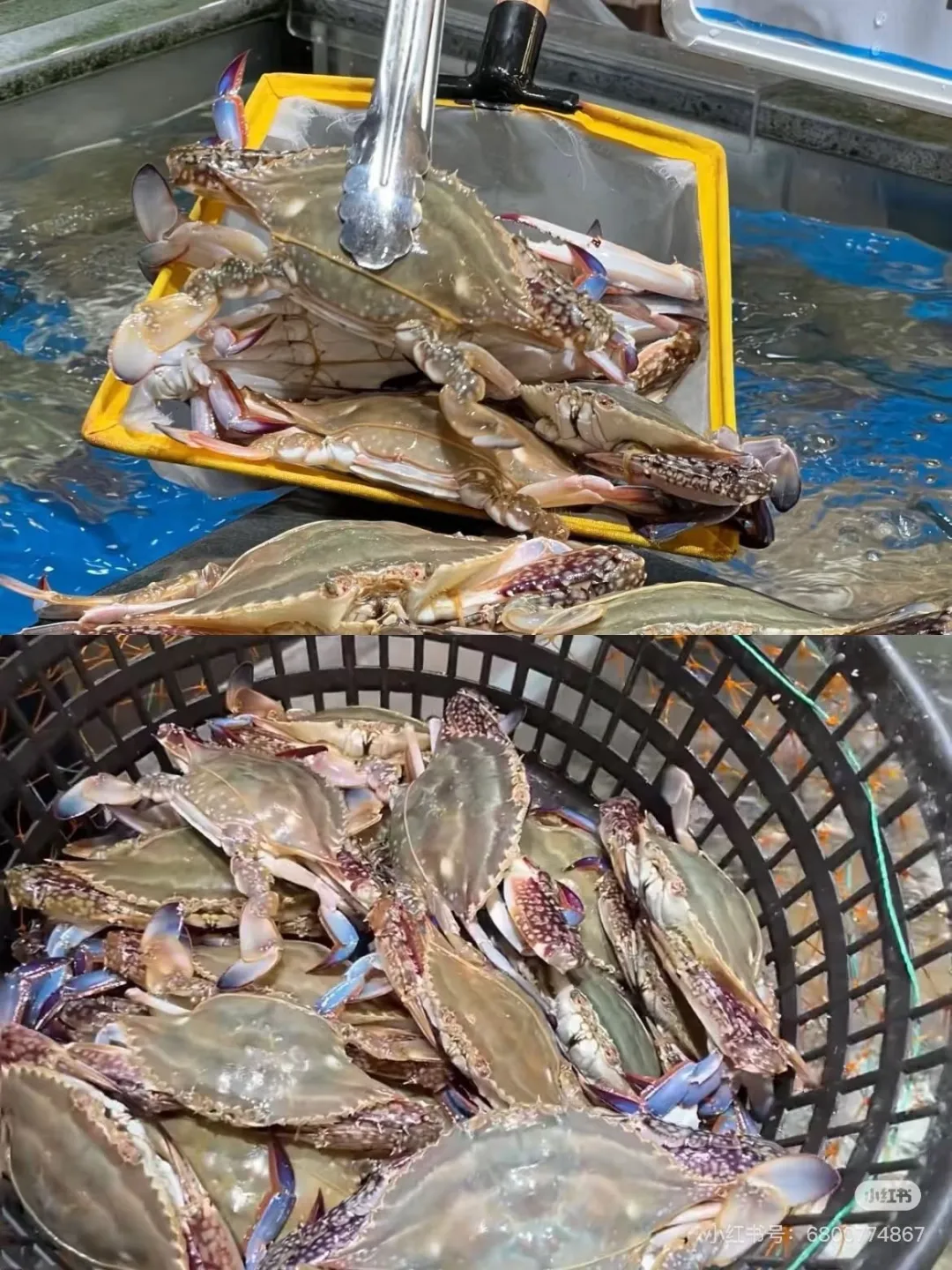 dbe9a23f4b008f596674f9787958a6dd-sz_446783 dbe9a23f4b008f596674f9787958a6dd-sz_446783