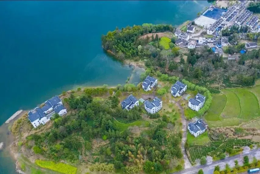 dbf2815a7d93a81f4e89d7bba4503a05-sz_98648 dbf2815a7d93a81f4e89d7bba4503a05-sz_98648