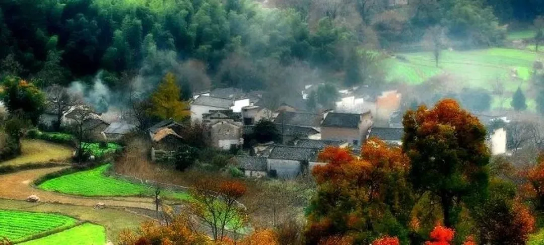 dcc4dd618a17cf788640e6f58ef2869b-sz_97684 dcc4dd618a17cf788640e6f58ef2869b-sz_97684