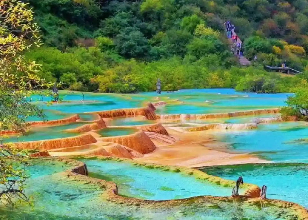 dd0ccfa93926c5c174f8ee8ed7b44532