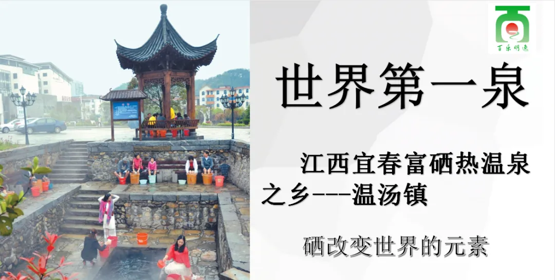 dd4e27dc1660a555f56f14f607fe9855-sz_560221