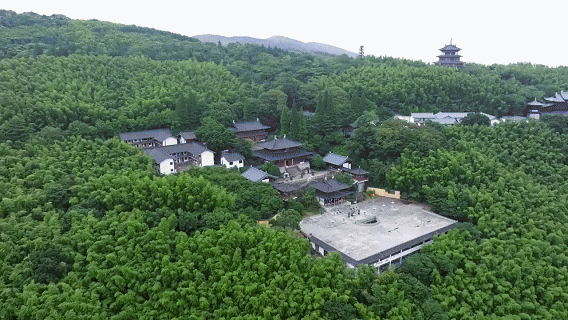 dd552205a4540342ac8c11bb9a260269-sz_11219052