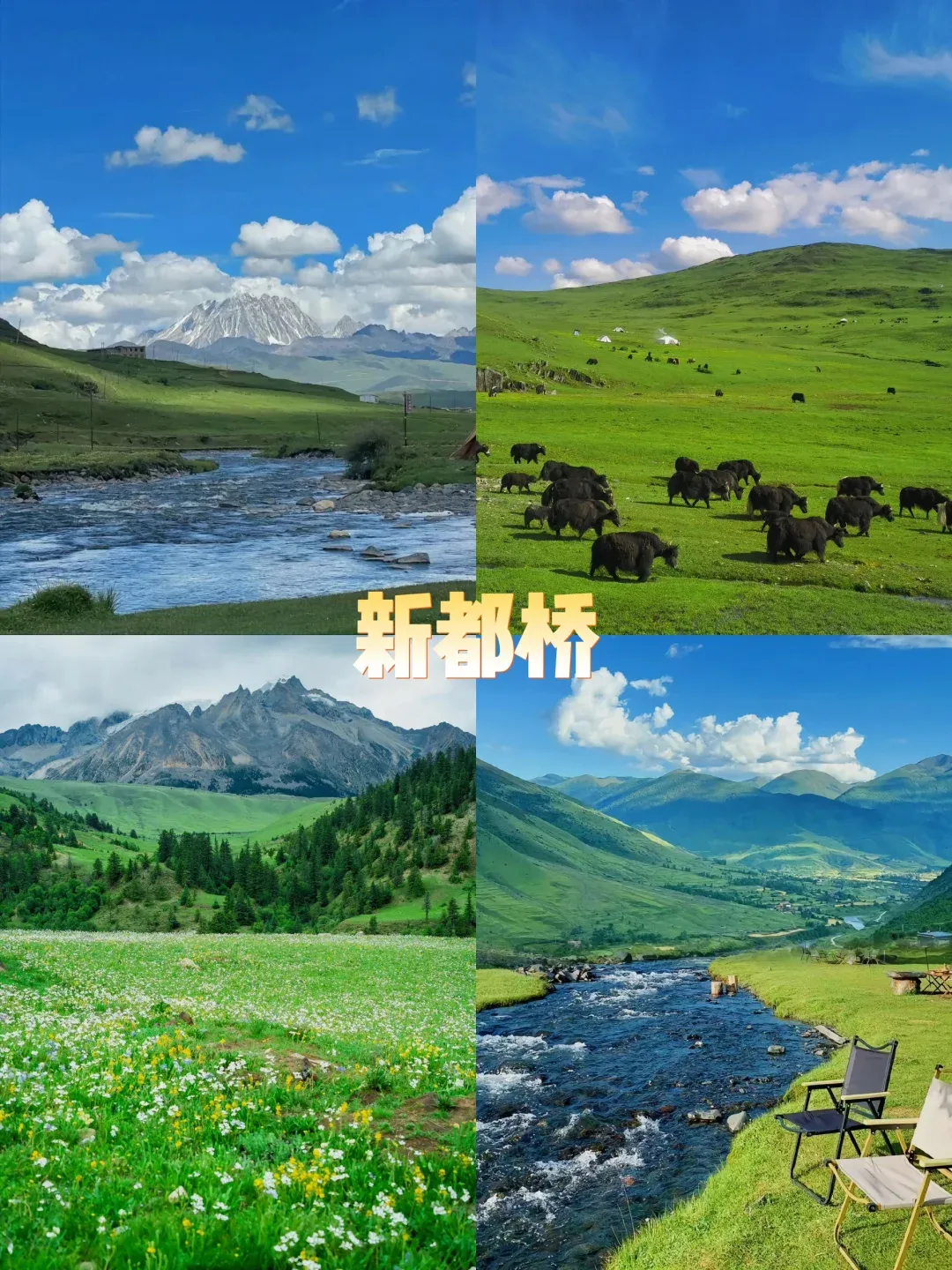 dd597219bcce85bab54d1b5633720949-sz_3284533