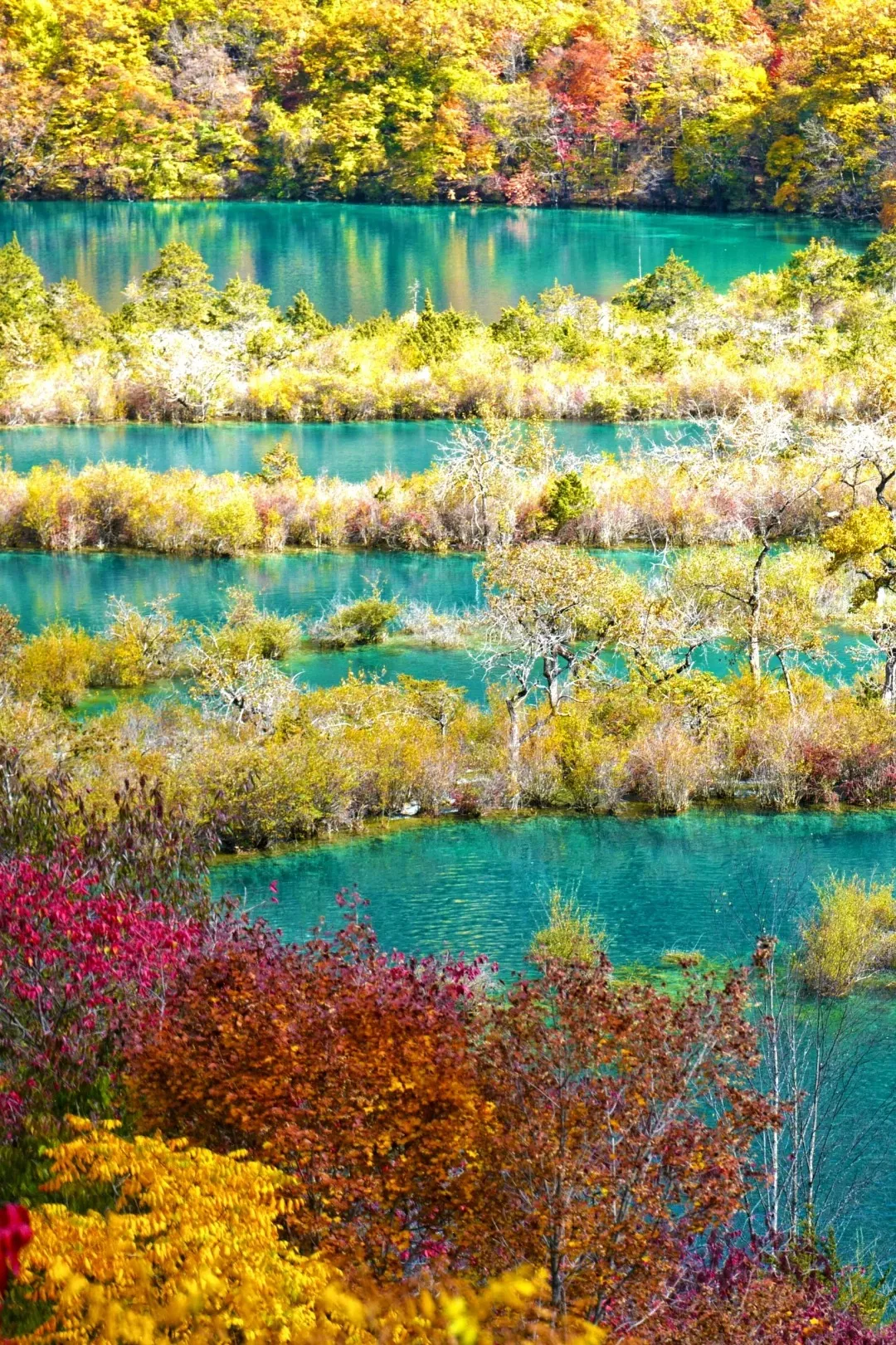 dd88bb5e751c604b9374deb0163be6dc-sz_847744 dd88bb5e751c604b9374deb0163be6dc-sz_847744