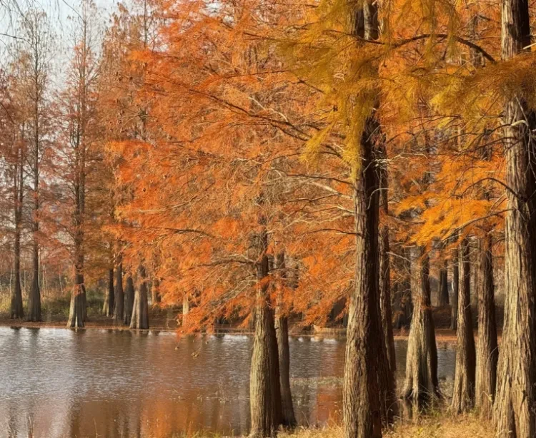 ddae567d153d6ab3e0f7e24c7fd312d2-sz_1395165 ddae567d153d6ab3e0f7e24c7fd312d2-sz_1395165