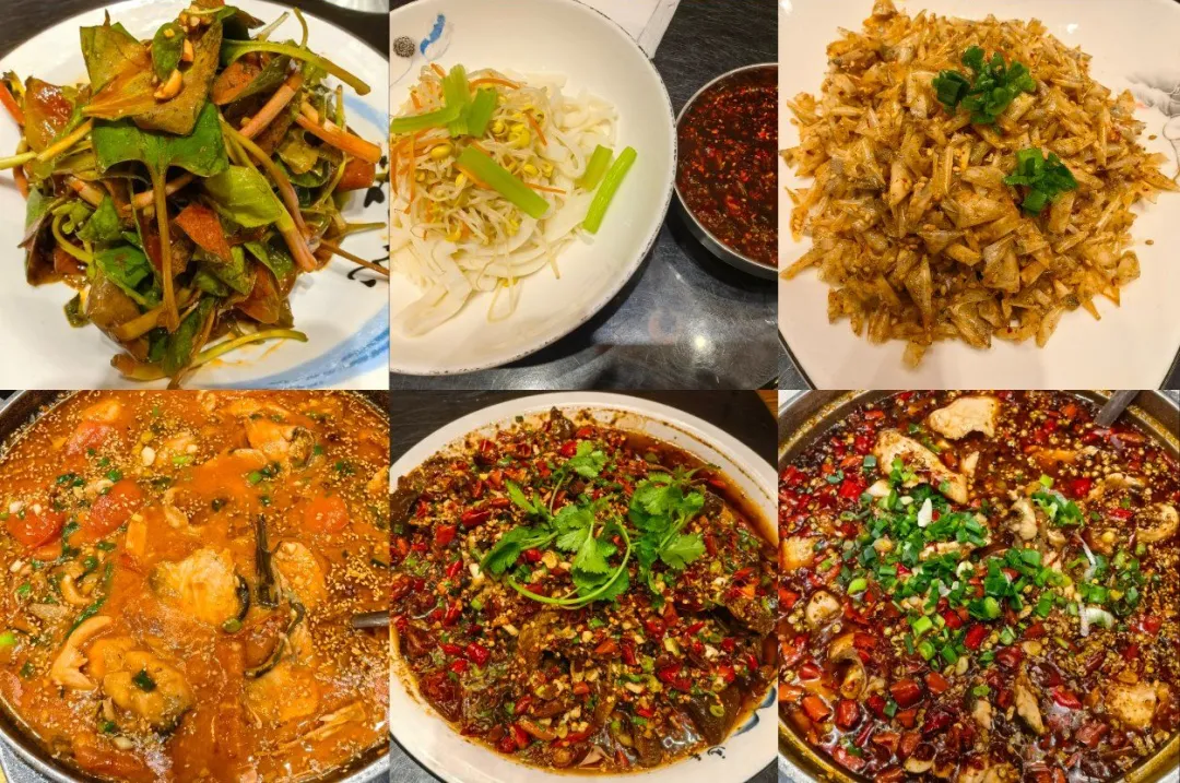 de377cd14492220fd8bf8c8de71214a6-sz_480717-1