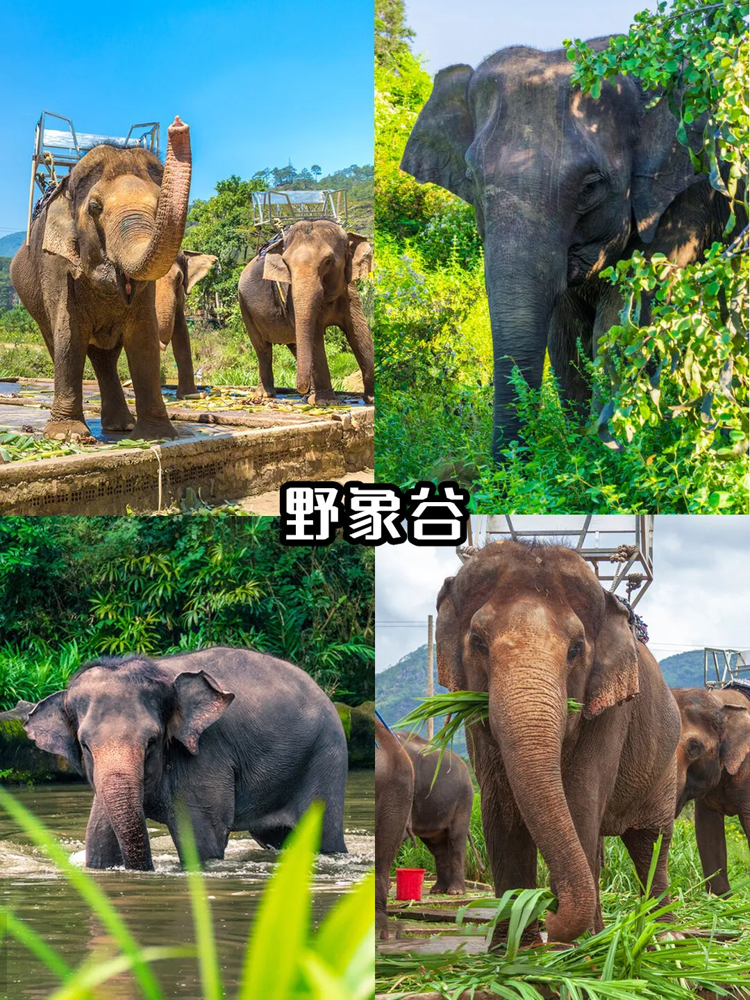 dead8a7c8aa6631076b5193b835e21fe-sz_618132-1 dead8a7c8aa6631076b5193b835e21fe-sz_618132-1