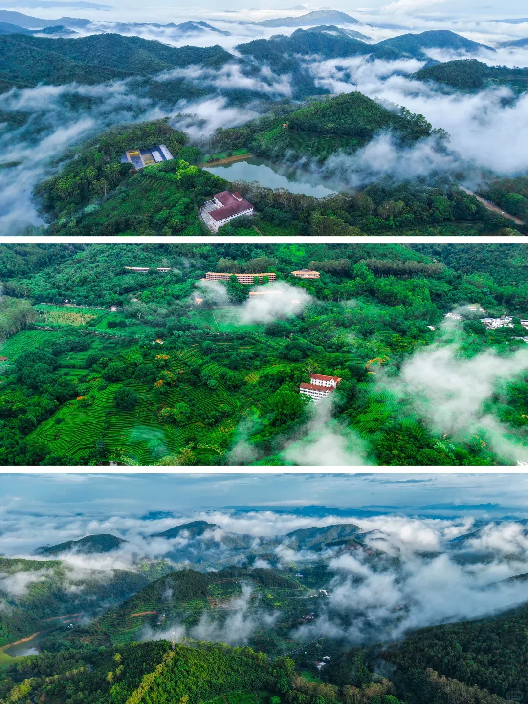 df87cc63641f280470021f30e2dfaac3-sz_3030512 df87cc63641f280470021f30e2dfaac3-sz_3030512