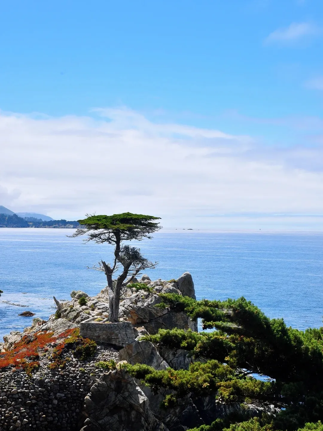 dfdaa1dfee96179e37469f85c1723f8c-sz_429305 dfdaa1dfee96179e37469f85c1723f8c-sz_429305