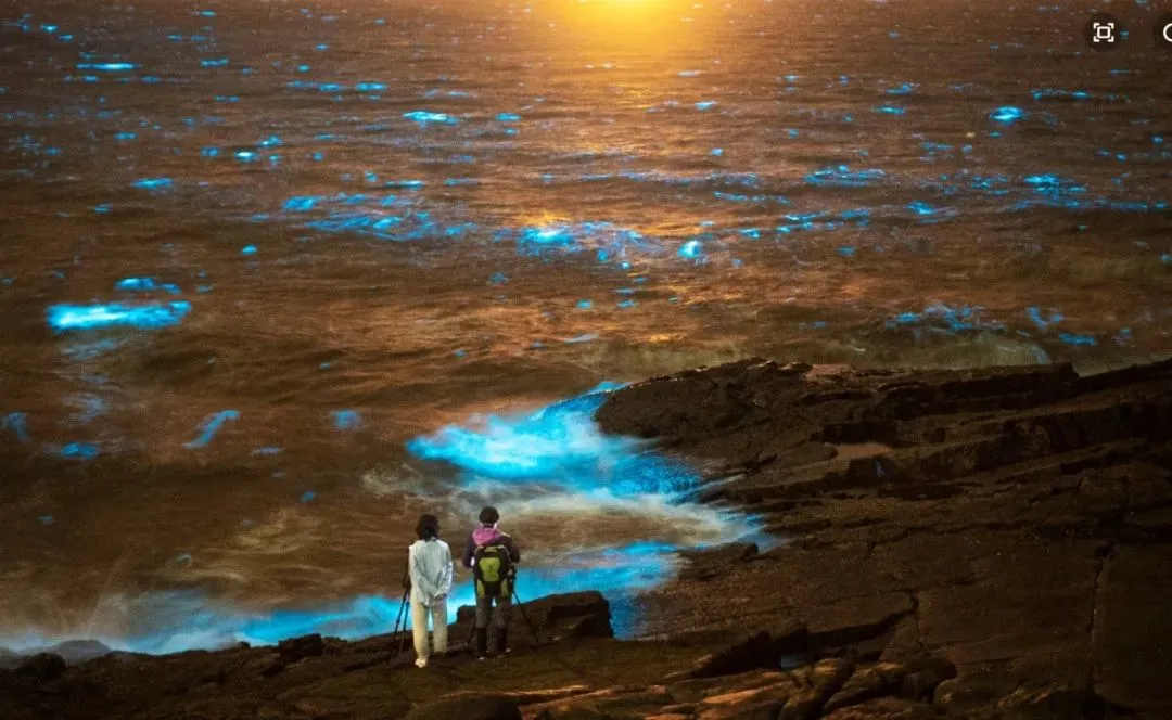 dfdda477d621e507f5551d777c2b8519-sz_114641 dfdda477d621e507f5551d777c2b8519-sz_114641