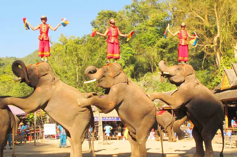 dfef0cc7e5d9fdc6e30f503e600fc626-sz_631864-2 dfef0cc7e5d9fdc6e30f503e600fc626-sz_631864-2