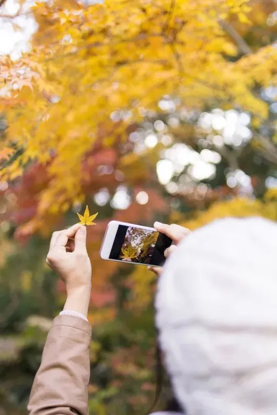 dfff89a2d1d169e442124a4880e70b59-sz_54615 dfff89a2d1d169e442124a4880e70b59-sz_54615