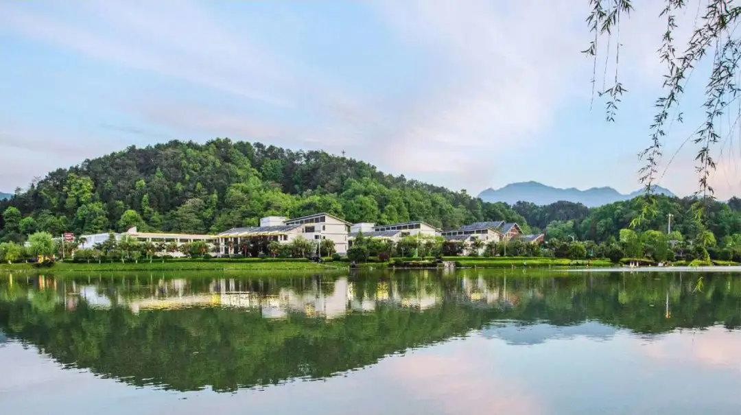 e026ce343fd2594741ab1b4276d41e77-sz_113144