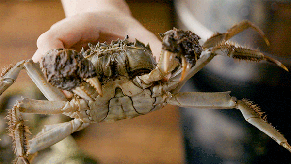 e0ad3ff4aa5d2742fdb855396dfe0f66-sz_1621008 e0ad3ff4aa5d2742fdb855396dfe0f66-sz_1621008