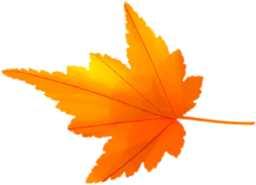 e0f328bb5e08fc50a5f0ecbf521bf31a_sz-85970-2 e0f328bb5e08fc50a5f0ecbf521bf31a_sz-85970-2