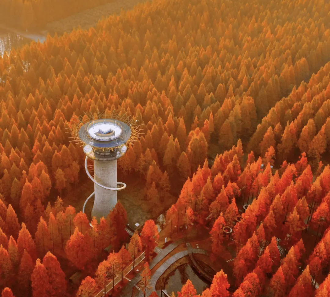 e16ce5272863874dabe65b0d0b3fe6e9-sz_2385736