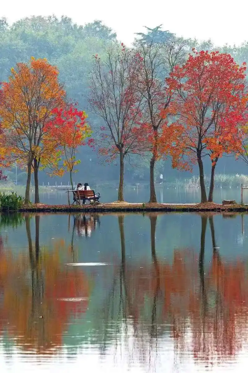 e1ea10efa6e72ddcf65c33168164a61c-sz_163491 e1ea10efa6e72ddcf65c33168164a61c-sz_163491