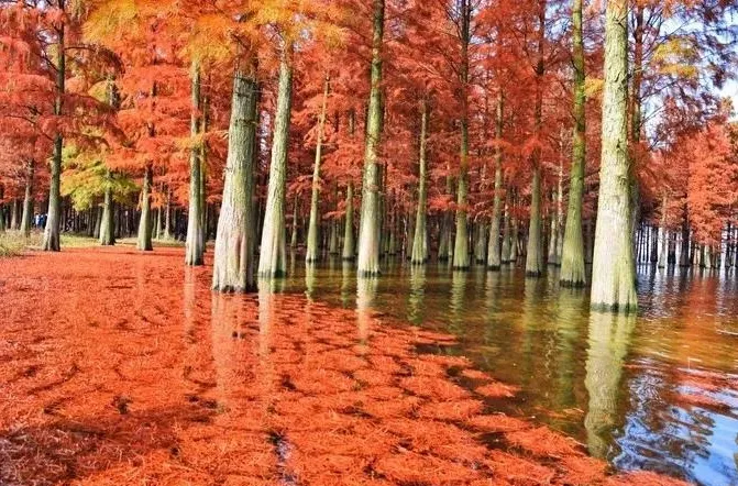 e2699c3e55d1a211cfb8dddf6aad4719-sz_716487-1 e2699c3e55d1a211cfb8dddf6aad4719-sz_716487-1