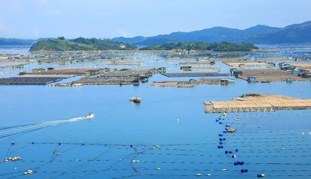 e26a0ab1e61f21597bae7ea8267d41f4-sz_111916 e26a0ab1e61f21597bae7ea8267d41f4-sz_111916