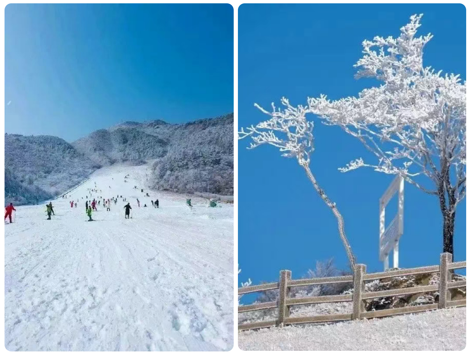 e2e7f26b27c880979654042ec4ab3936