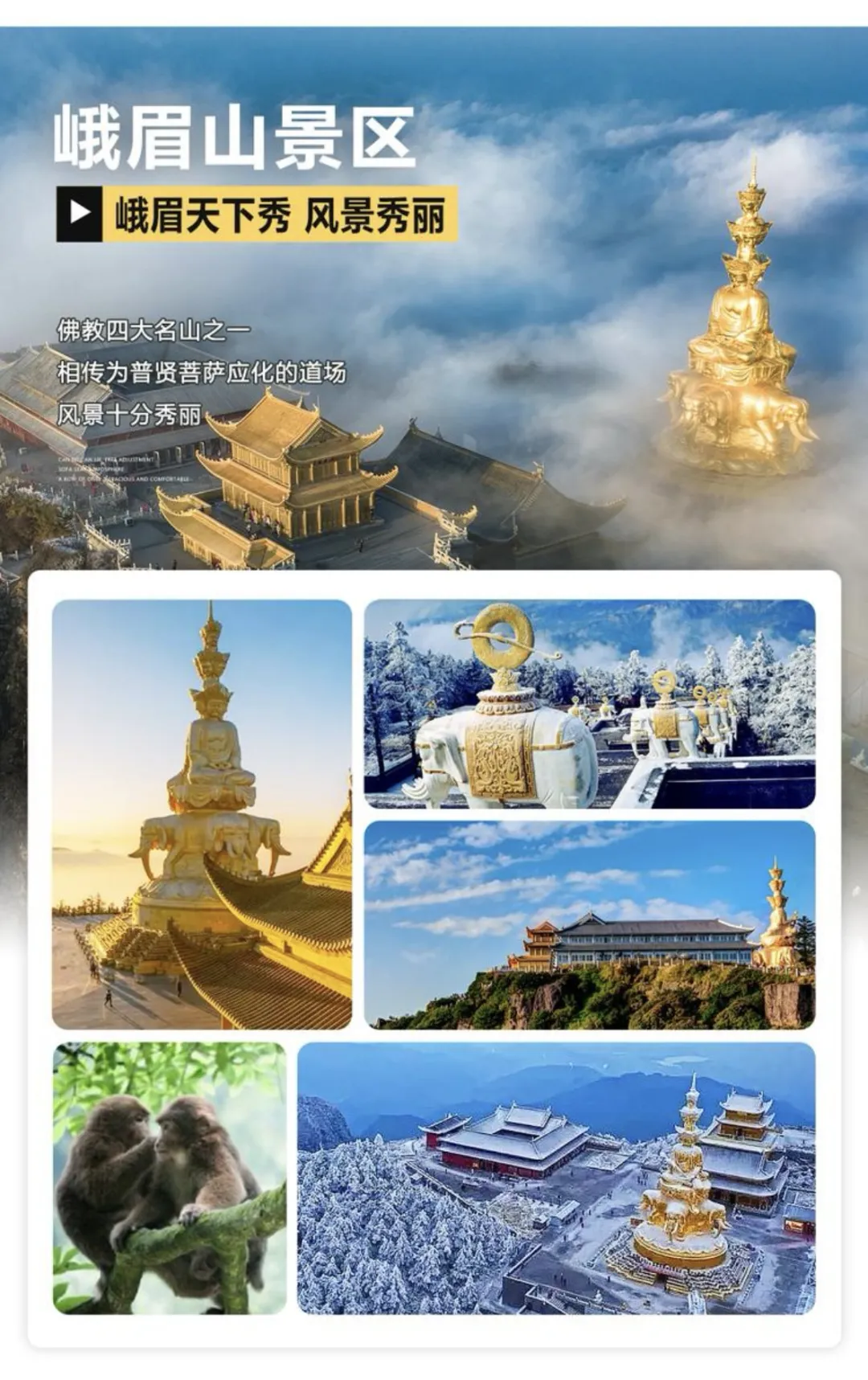 e2f42cf49d904893e3feaf1604438abc-sz_644243