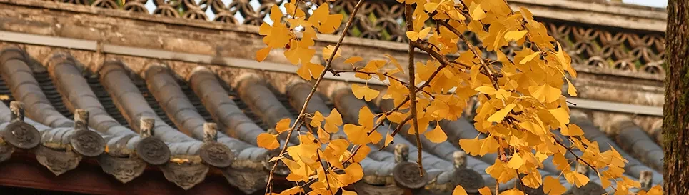 e300b66c52f9e232ff13402049bcab74_sz-2178784-1 e300b66c52f9e232ff13402049bcab74_sz-2178784-1