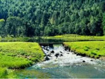 e30d0373fa2512768487579a4b6c121b-sz_350083