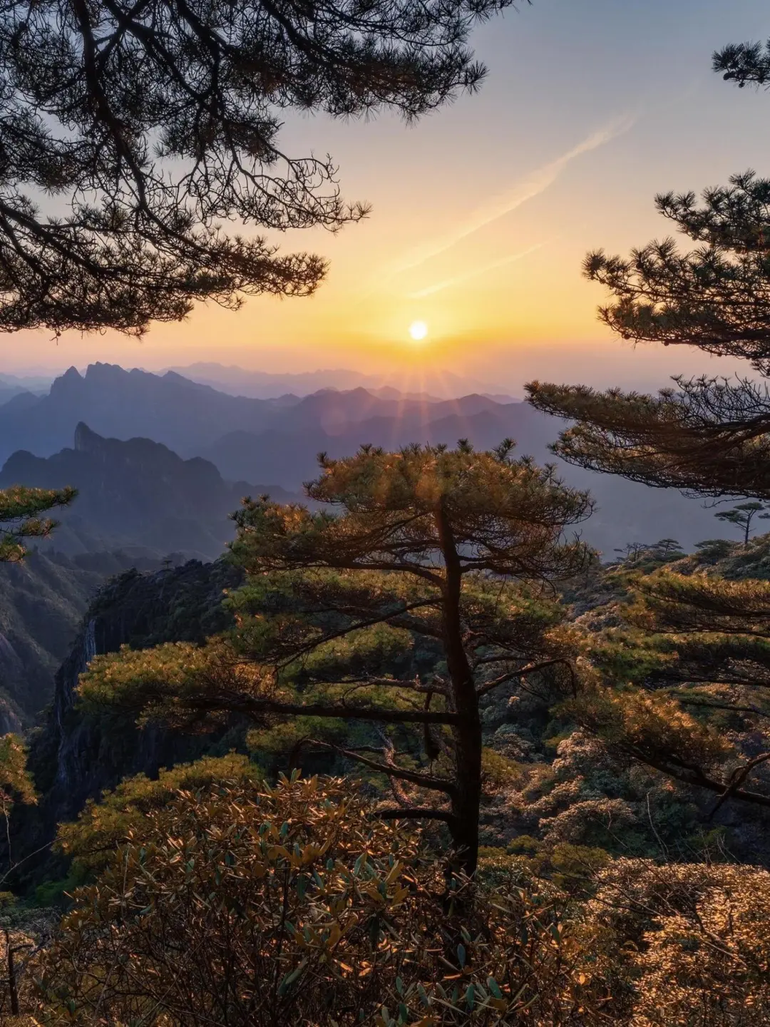 e3240dd38ce33ae67ac025350cd2bf55-sz_516643 e3240dd38ce33ae67ac025350cd2bf55-sz_516643