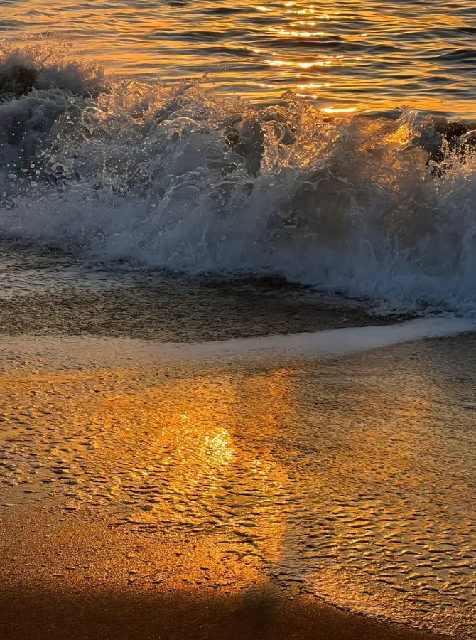 e3273c8625320bf774d331b914f030cc-sz_1556934 e3273c8625320bf774d331b914f030cc-sz_1556934