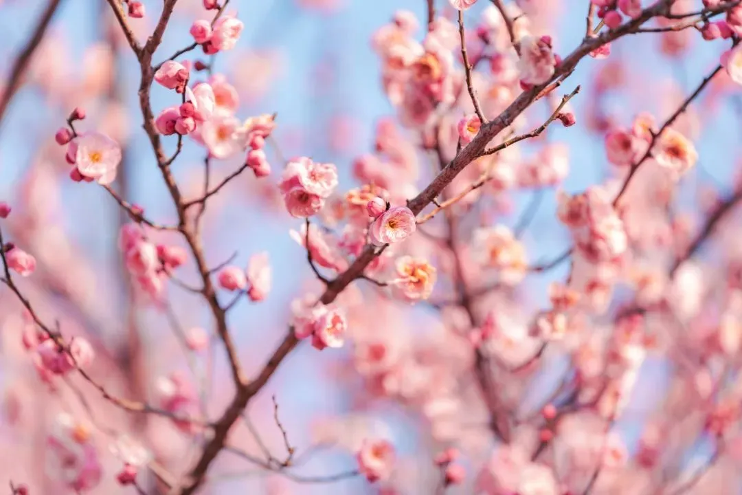 e342315050df5399c008350538cb35cf-sz_1888269 e342315050df5399c008350538cb35cf-sz_1888269