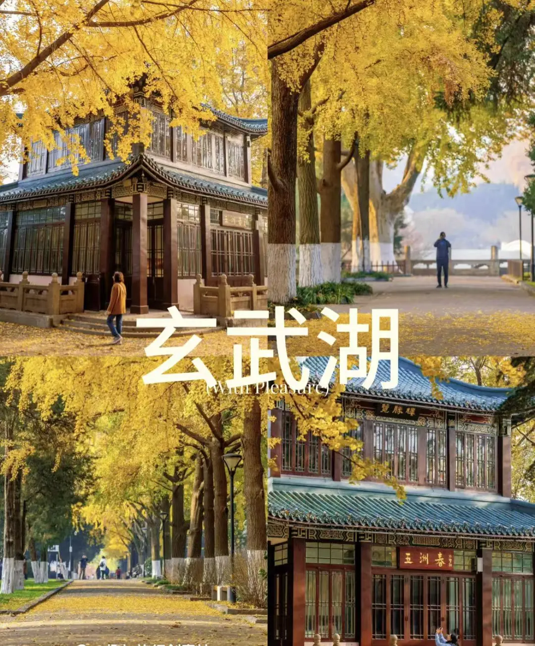 e344f271656ecff7b066247ea259f48f-sz_386324 e344f271656ecff7b066247ea259f48f-sz_386324