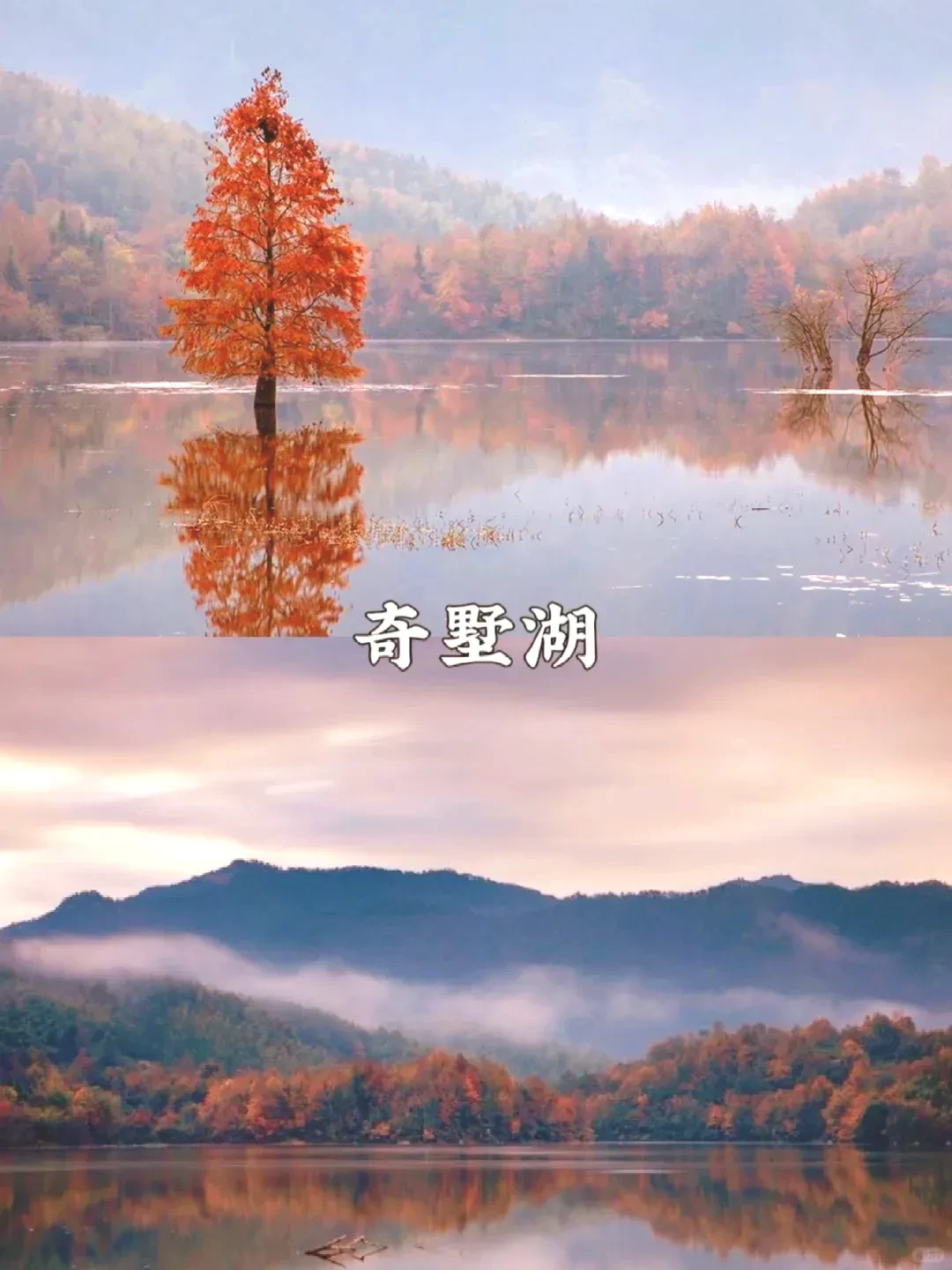 e3d17e44a0ed5ccc1afd4534f62746fd-sz_2031070 e3d17e44a0ed5ccc1afd4534f62746fd-sz_2031070