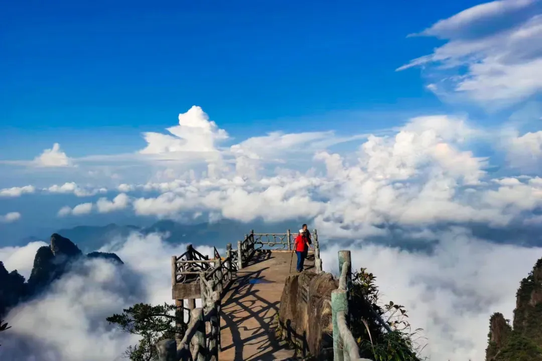 e4bf592325034b9675e082e67c53f6e3-sz_119508