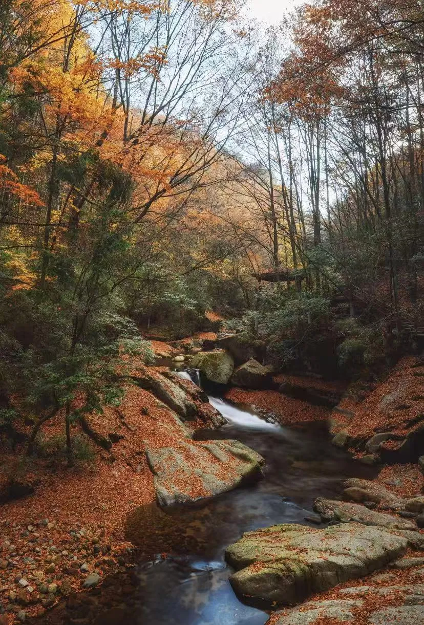 e4d70c557dd8cd6f0cad93dc28ba7a15-sz_2877935-1