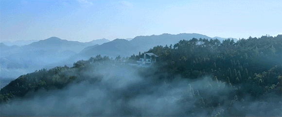 e56615fe0c81321c0c4b8c34b1bda4d8-sz_838534