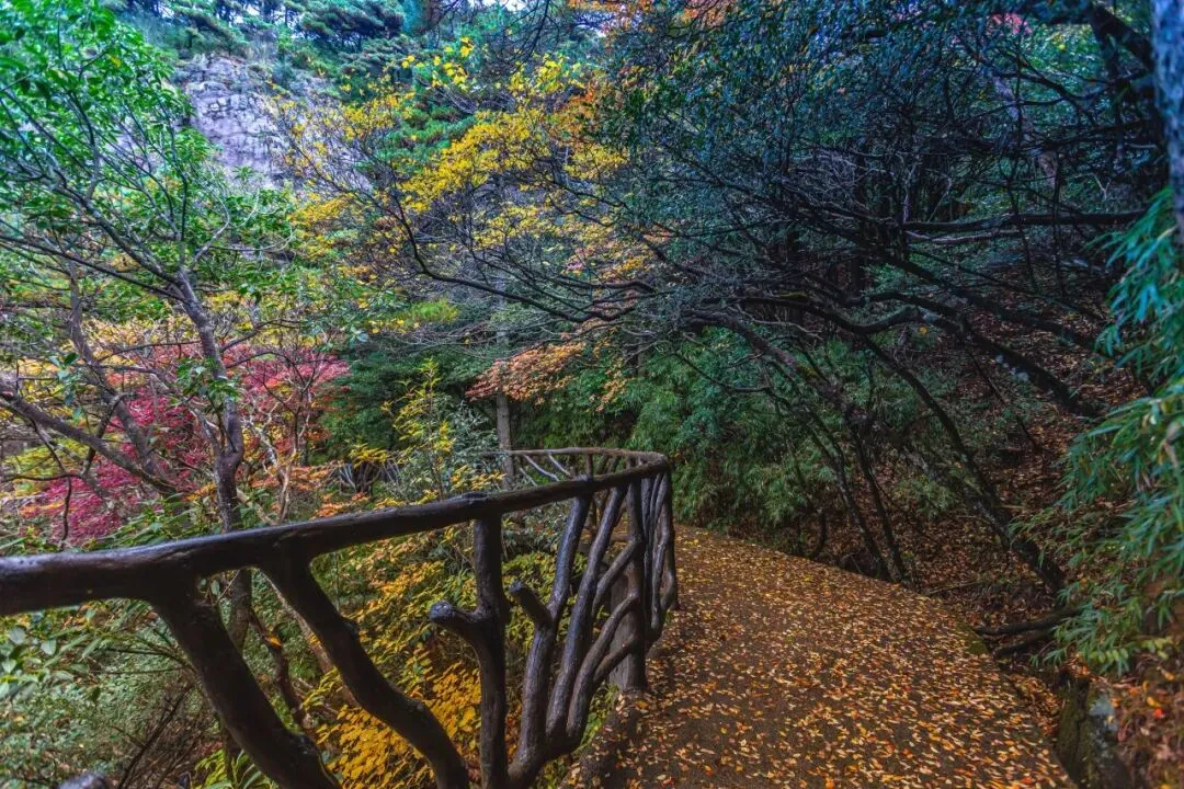 e571a05ddaa7ca71be241155c851f085-sz_254416 e571a05ddaa7ca71be241155c851f085-sz_254416