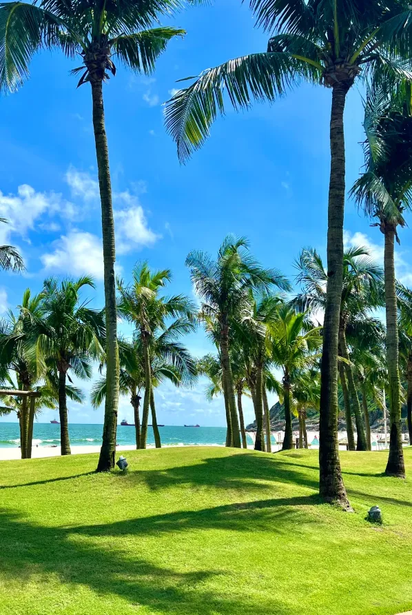 e59b6a4684579e6990eb23e439a2d7f0-sz_1325356 e59b6a4684579e6990eb23e439a2d7f0-sz_1325356