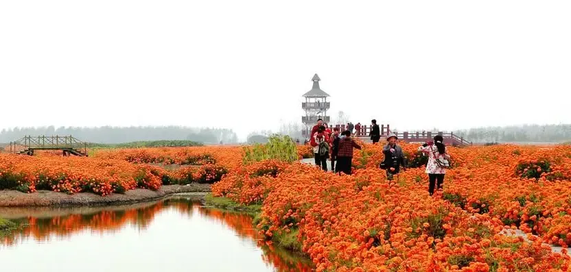 e5a6aea074e59298c91b390a10a28822-sz_390509