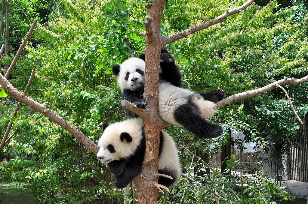 e5beb7058802b5a655885c79d7895387-sz_1772218 e5beb7058802b5a655885c79d7895387-sz_1772218