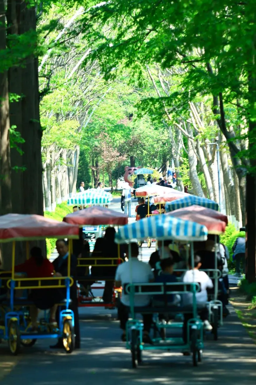 e5e1ce7c27a521f35932d7840838a5d1-sz_228181 e5e1ce7c27a521f35932d7840838a5d1-sz_228181