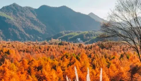 e641cd79904449fc970c2b435287b349-sz_341298 e641cd79904449fc970c2b435287b349-sz_341298